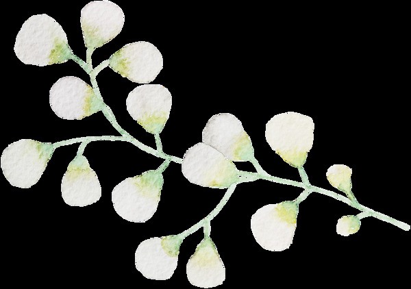 手繪清新樹(shù)枝