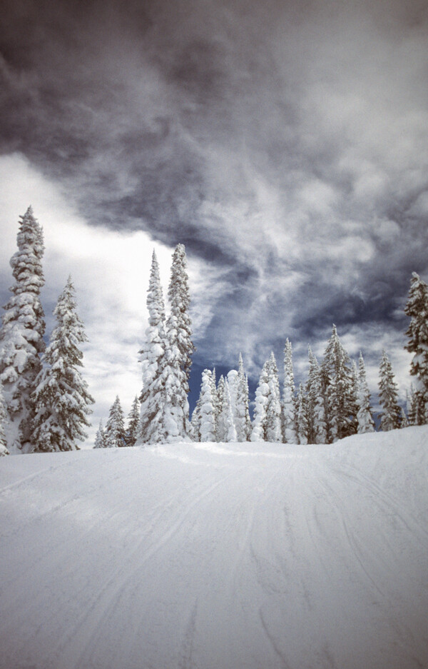 自然雪景摄影图片图片