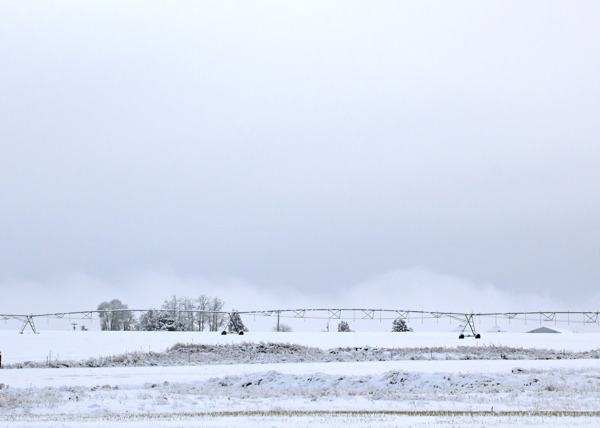 雪原