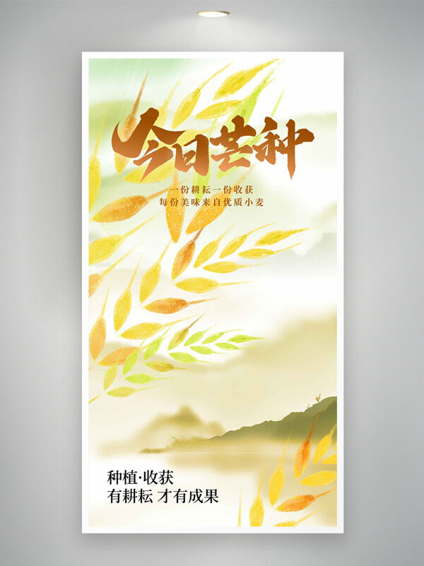 清新彩色渐变背景麦穗图案芒种传统节气海报