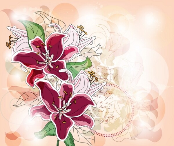 百合花圖片
