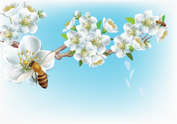 自然风光蜜蜂桃花梅花
