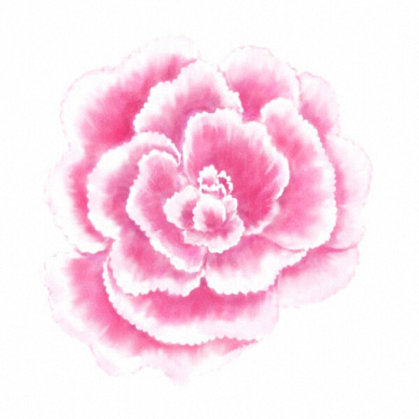 位圖時尚休閑女裝成熟優(yōu)雅女裝植物花卉免費素材