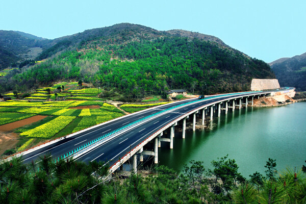 大橋