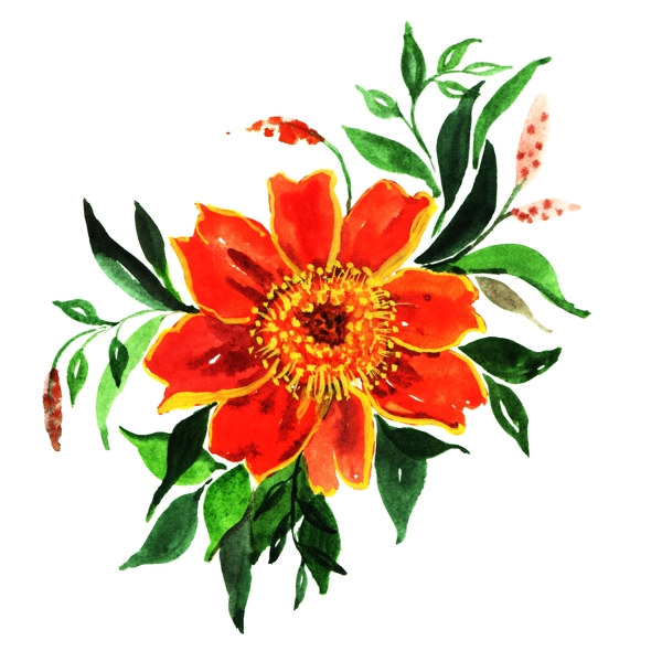手绘橙红色水彩花卉