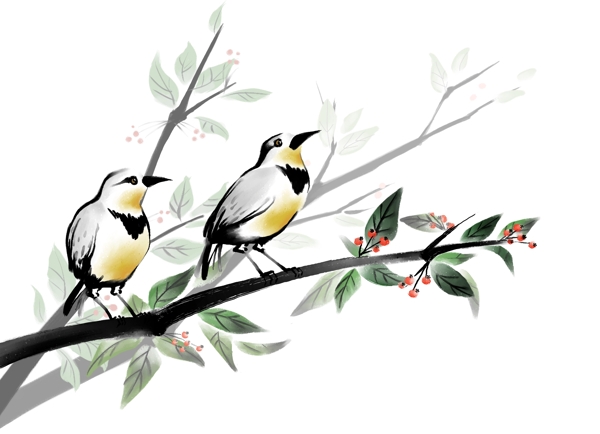 手绘树枝上的鸟图片