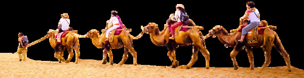 卡通骑骆驼旅行png元素