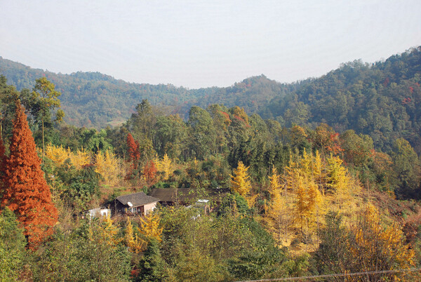 山里小屋图片