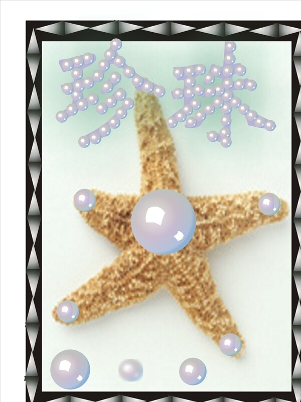 珍珠五角星海星