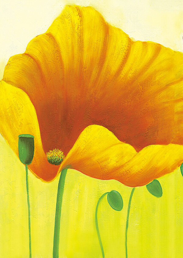 黄色花朵油画图片