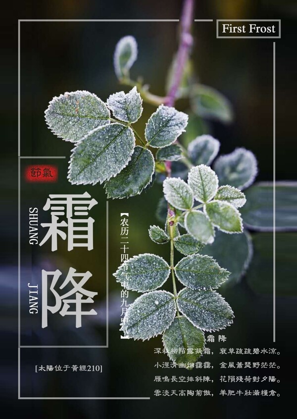 创新二十四节气霜降海报