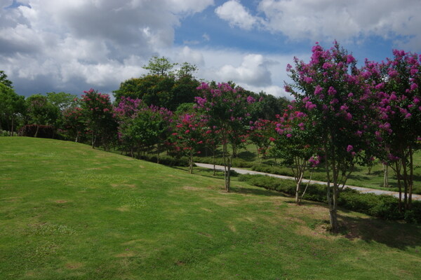 花草休闲滩