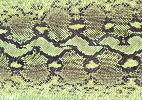 蛇纹图片