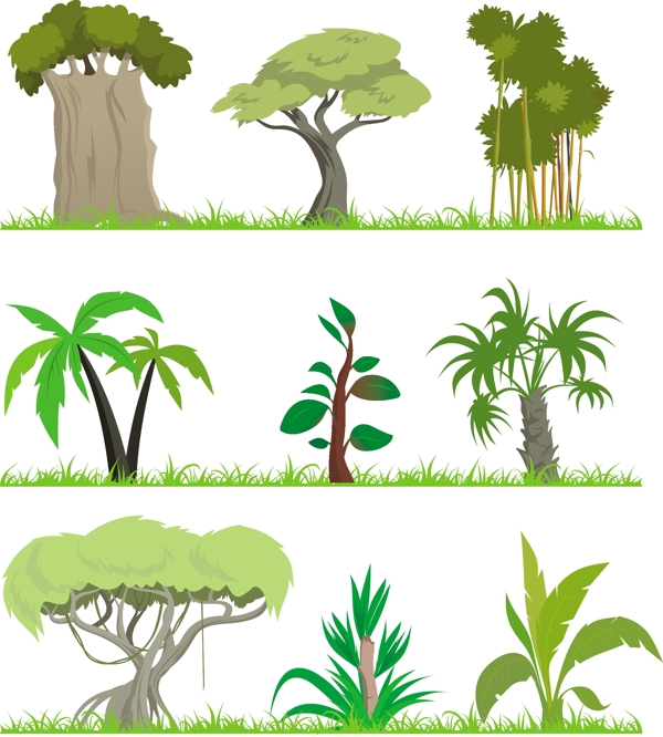 9矢量丛林的插图