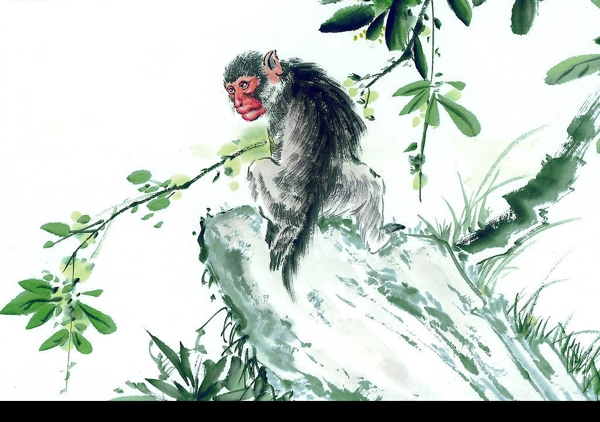 十二生肖猴水墨画图片