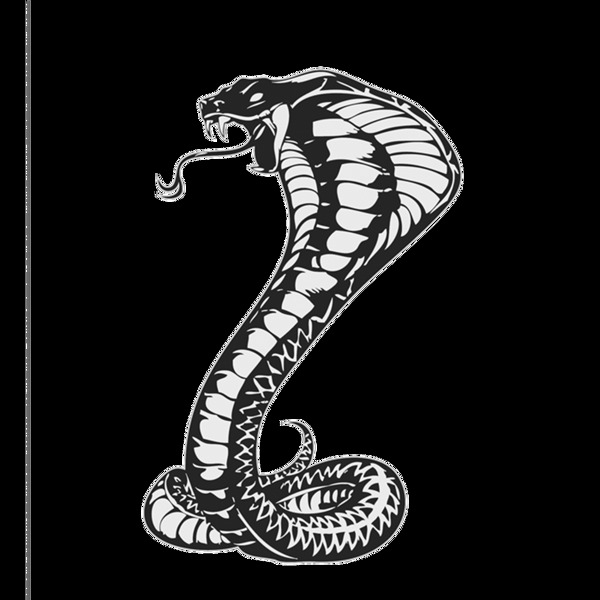 蛇logo图片