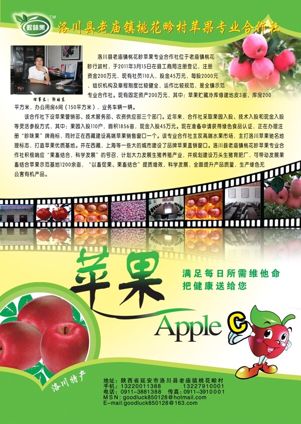 苹果合作社彩页图片