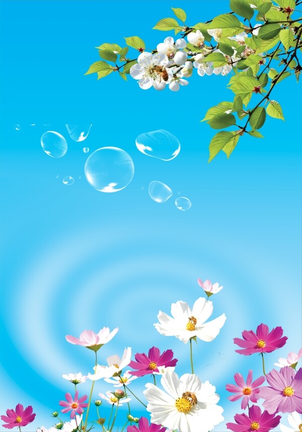 春天气泡背景图片