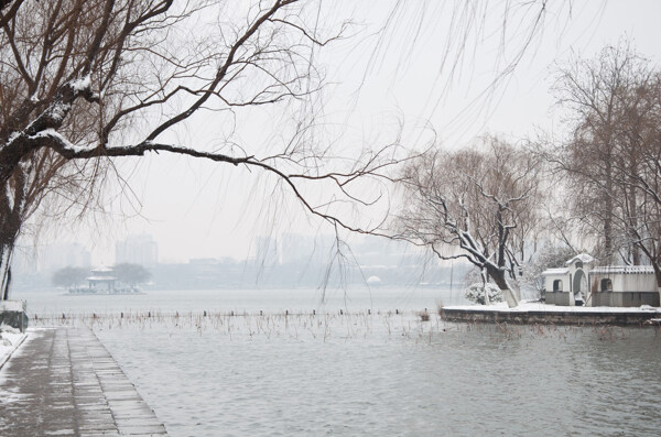 大明湖雪景图片