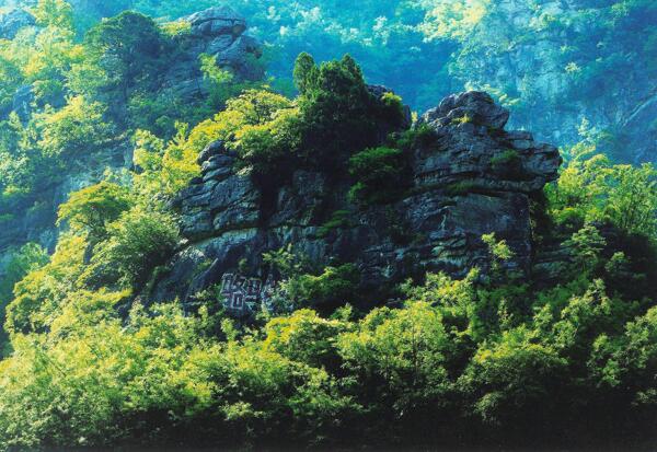 骆驼峰风景