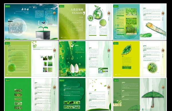 蔬菜画册设计