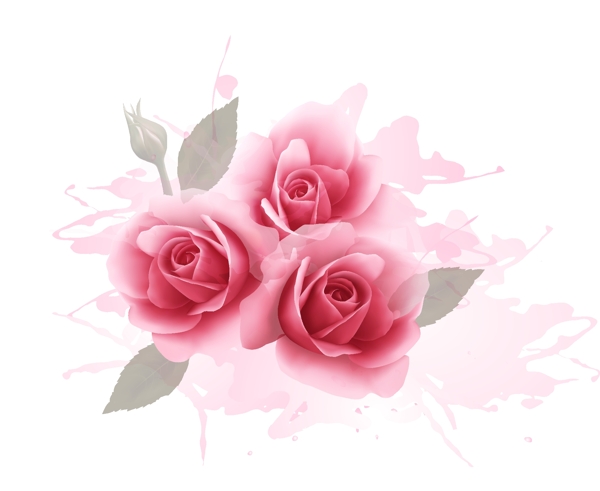 浪漫粉玫瑰水彩背景图片
