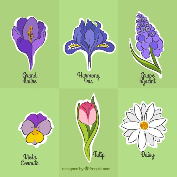 6款彩色花卉设计矢量素材