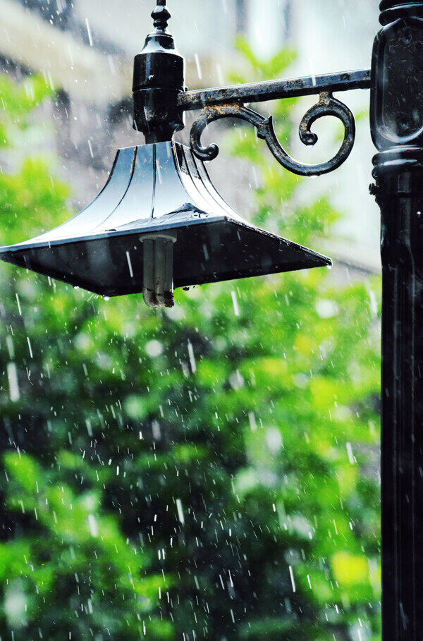 雨中路灯图片