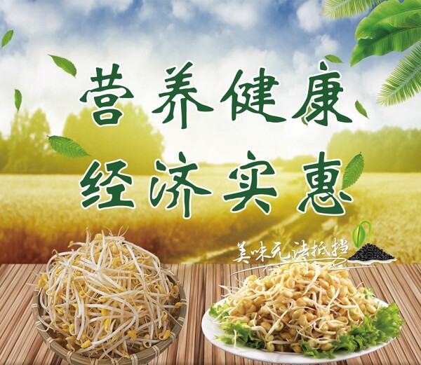 黄豆芽绿豆芽