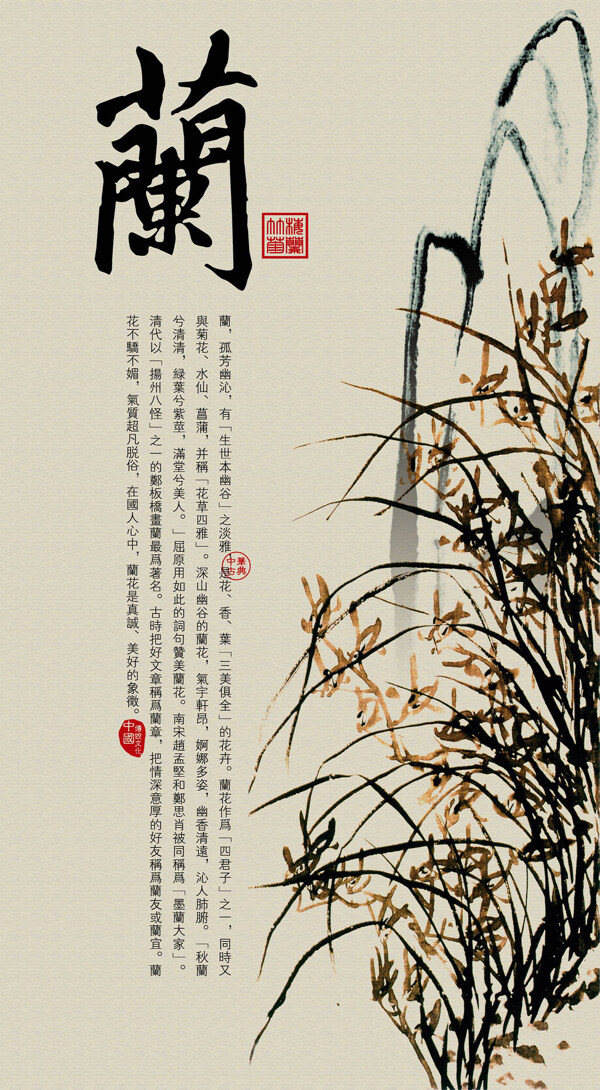 中国风绘画装饰兰