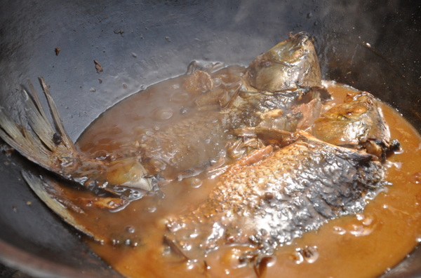 铁锅炖鱼图片