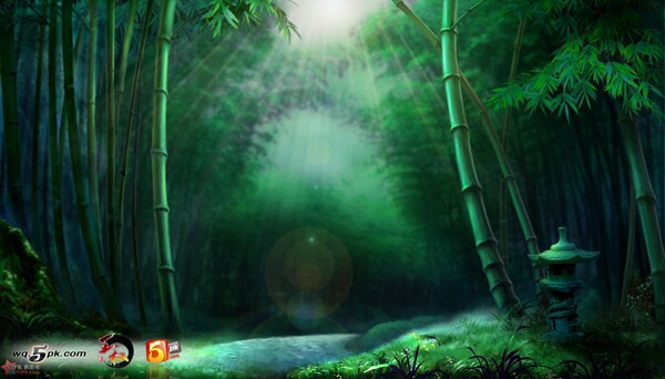 竹林森林图片