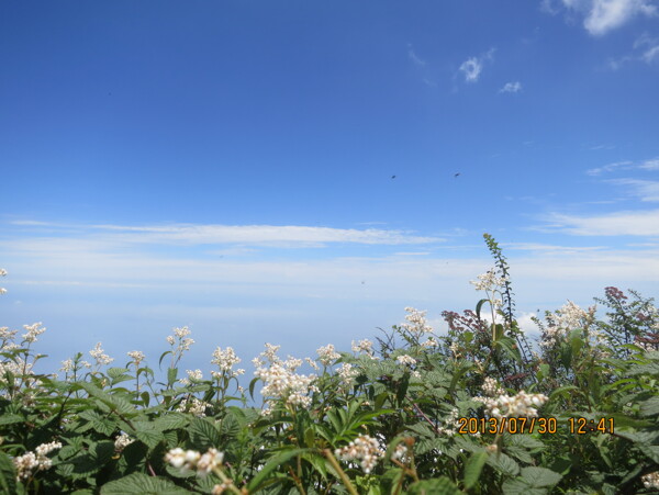 峨眉山图片