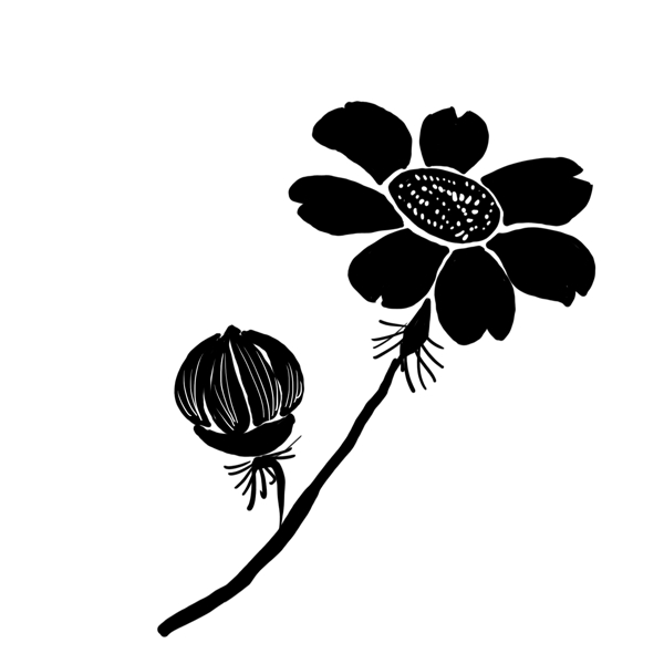 黑色花朵花苞插画