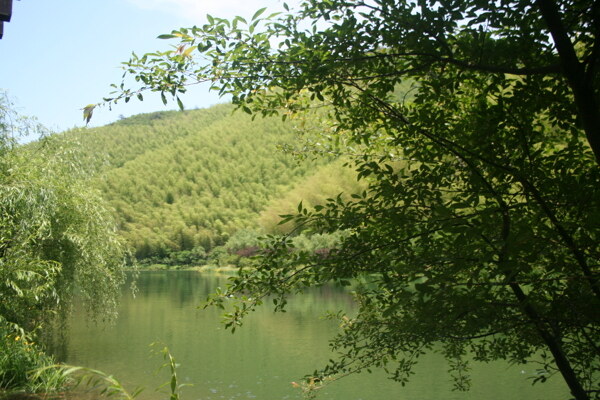 竹海湖景图片