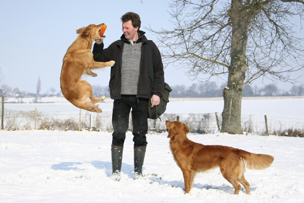 雪地里的驯狗师与狗狗