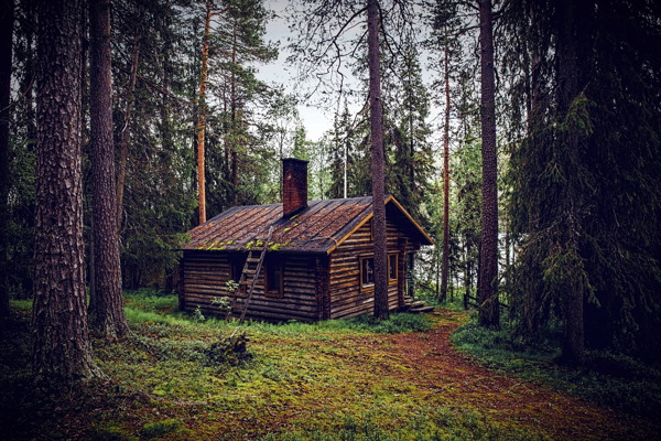 树林小木屋