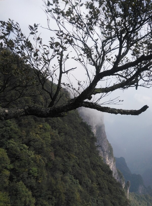 张家界天门山风景