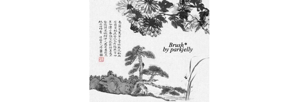 中国风菊花和松树PS笔刷