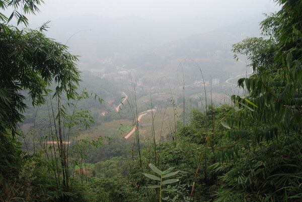 田园风光图片