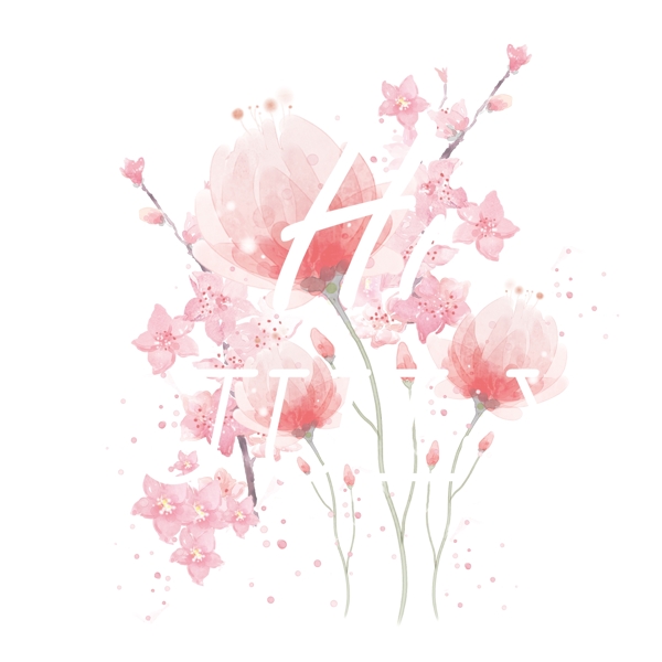 粉红色花朵免抠图