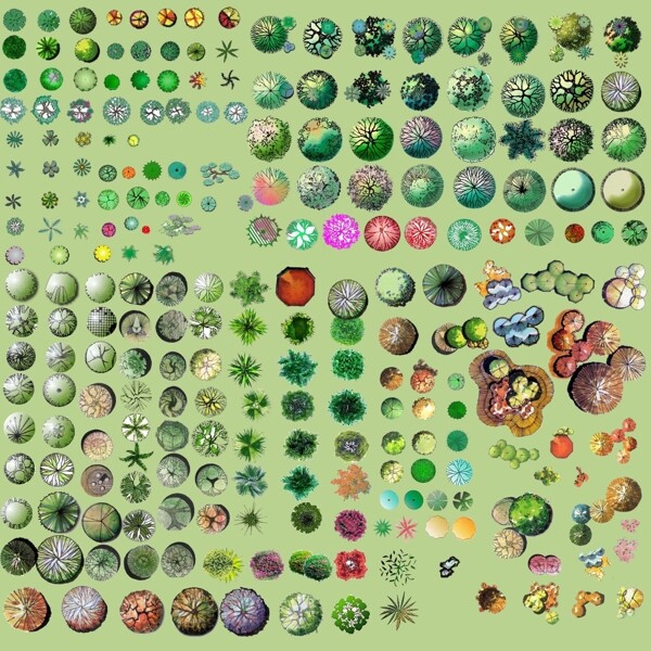 植物平面图例图片