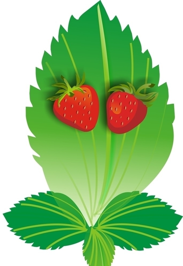 绿叶矢量草莓植物眼睛图片