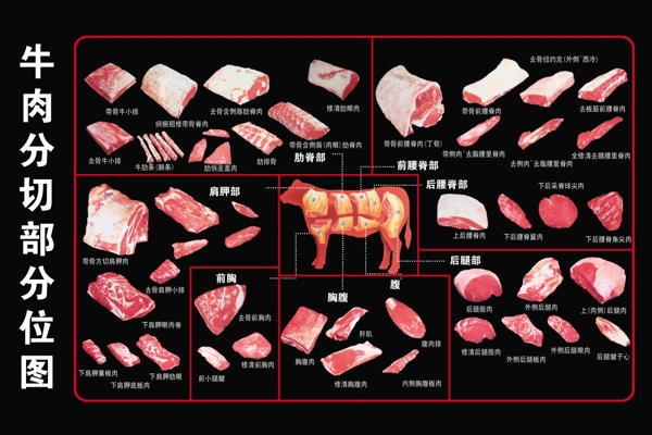 牛肉分割图图片