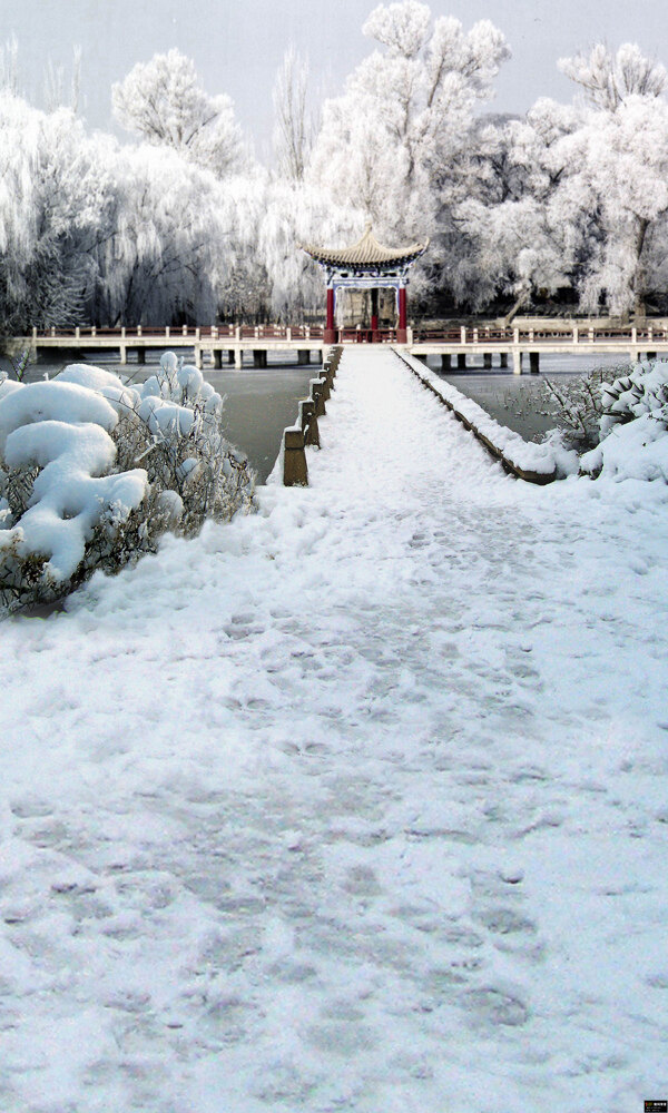 美丽的凉亭雪景图片