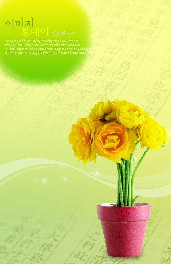 黄玫瑰韩式风格平面设计图PSD