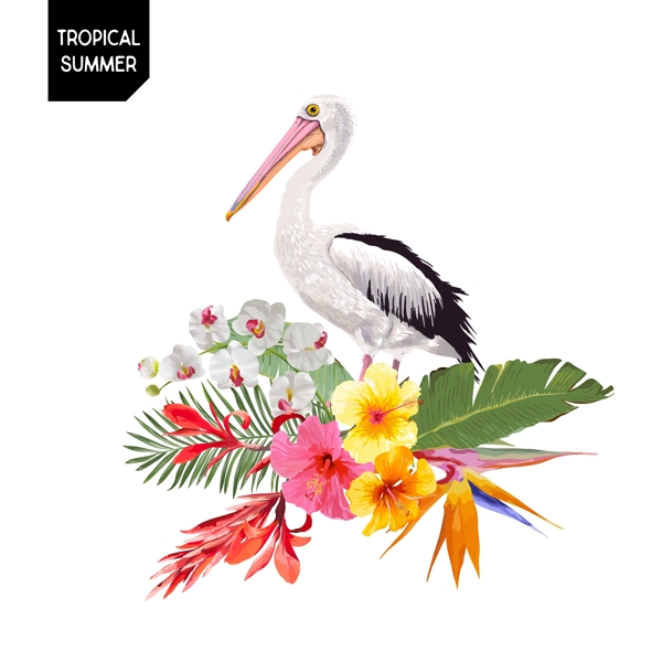 巨嘴鸟热带植物图案设计