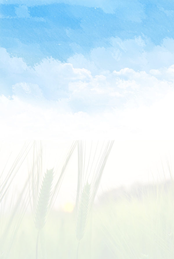 5蓝天小麦背景图