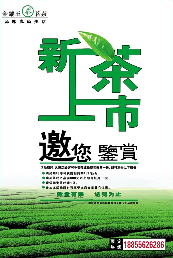 新茶上市海报图片