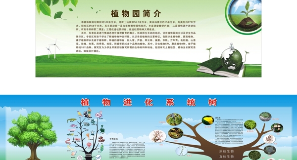植物进化系统树